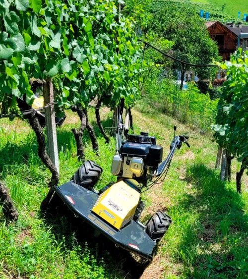 Desbrozadora oscilante profesional ECOTECH HRT 135 Swing Honda 390 cc