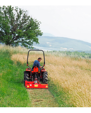 Desbrozadora - trituradora de martillos Del Morino GINGER 80 Hp 12 - 30