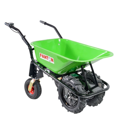 Carretilla Eléctrica Fanton EWD300A 300 Kg