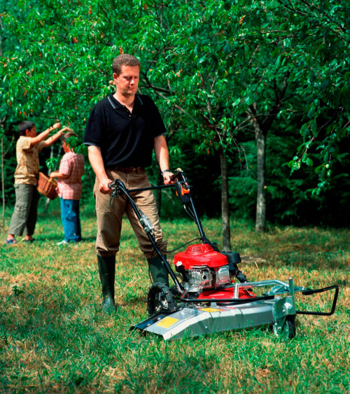 Desbrozadora de ruedas gasolina Honda UM 536 — 53CM 163CC