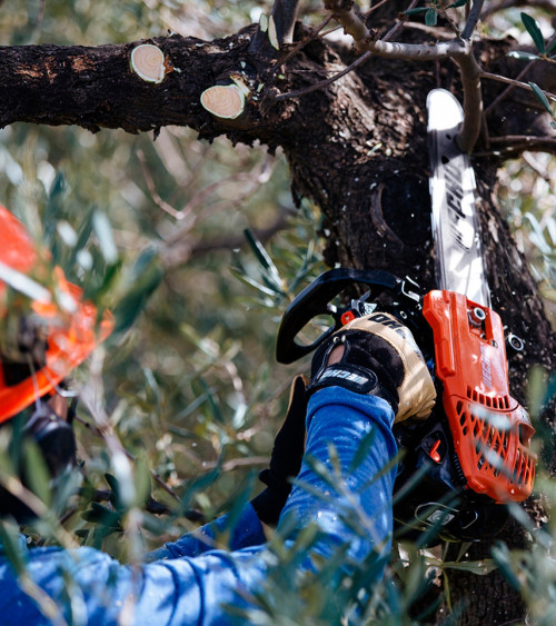 Motosierra gasolina ECHO CS-2511TES — 25cc 25cm 2,3kg