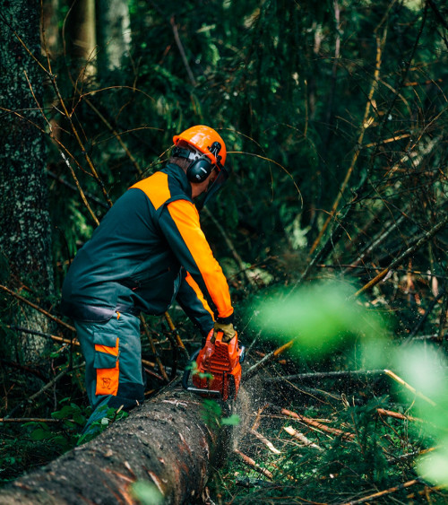 Motosierra gasolina ECHO CS-590/50 59,8cc 50cm 6kg