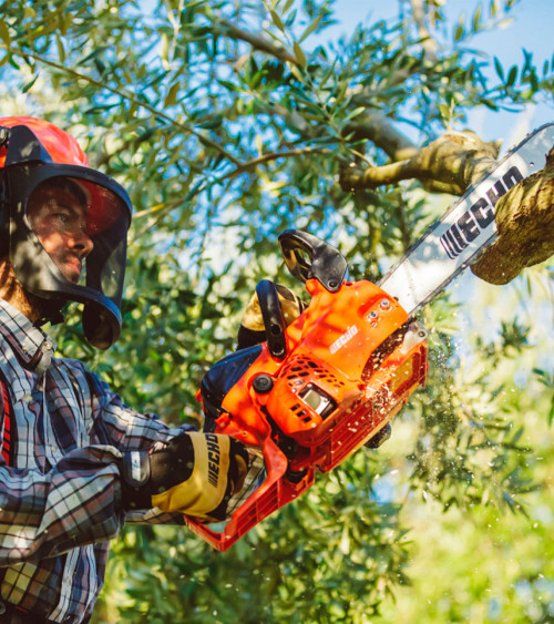 Motosierra gasolina ECHO CS-362WES 35,8cc 38cm 3,8kg