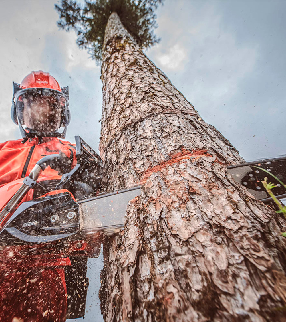 Motosierra gasolina X-Series ECHO CS-4310SX 42,9cc 40cm 4,3kg