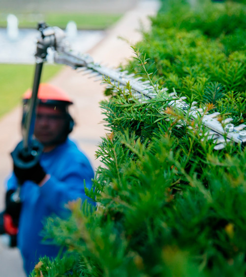 Cortasetos de altura ECHO HCA-236ES-LW — 2,4 metros 6,2kg