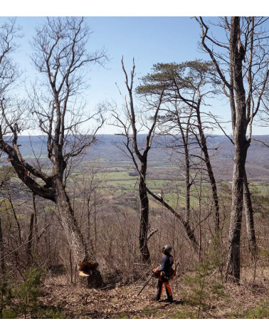 Motosierra gasolina Husqvarna 585 86 cc 50 cm 7,5 kg