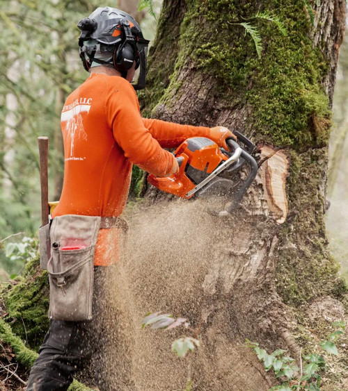 Motosierra gasolina Husqvarna 592XP 92,7 cc 50 cm 7,4 kg