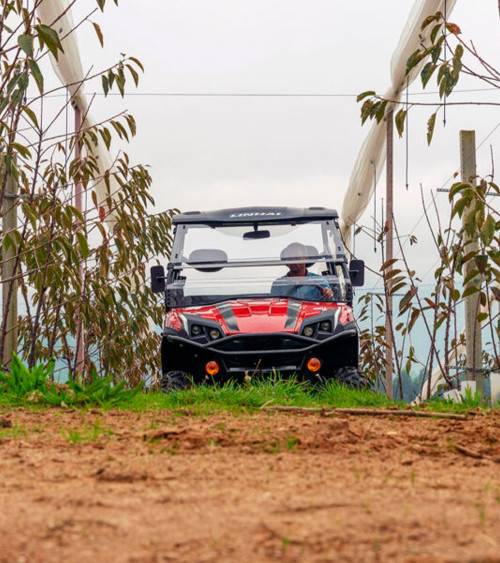 UTV 4x4 diésel - Vehículo utilitario todo-terreno Linhai LH1100U-D PROMAX EPS 1.123cc