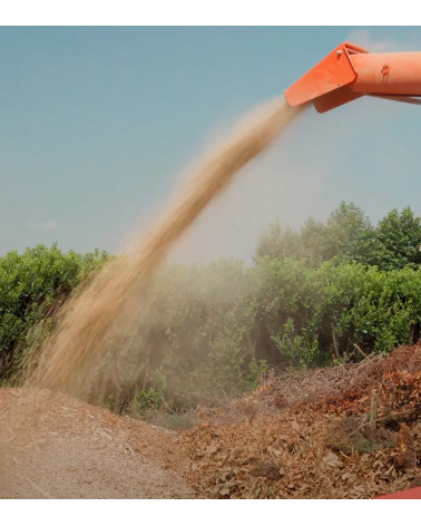 Biotrituradora profesional Diésel Caravaggi CIPPO 25T — 75HP Ø250 mm