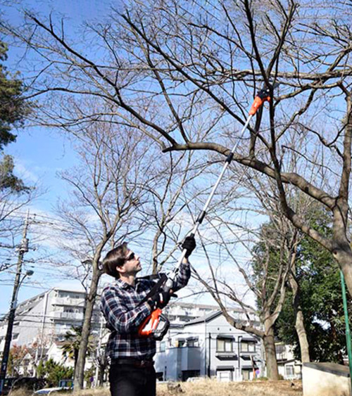 Podadora altura batería ECHO DPPF-310 — 2,70 m (sin batería ni cargador)