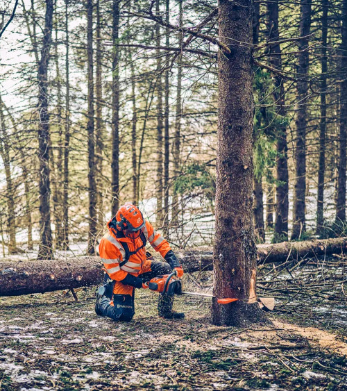 ALQUILER Motosierra gasolina Husqvarna 562 XP 598CC 5.9KG