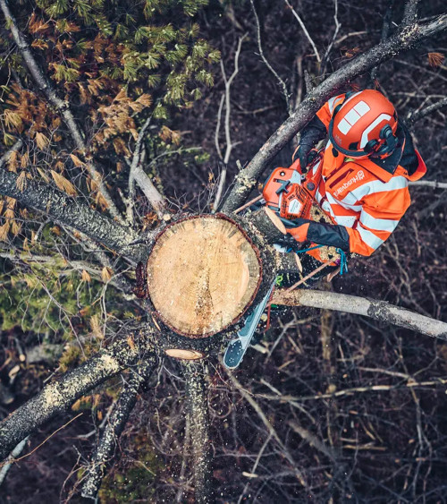 ALQUILER Motosierra gasolina Husqvarna 562 XP 598CC 5.9KG