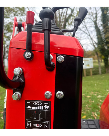 Mini excavadora 765kg gasolina Roteco Bigant 800