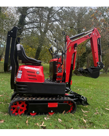 Mini excavadora 765kg gasolina Roteco Bigant 800