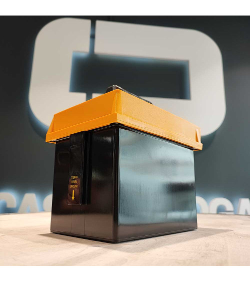 Pastor eléctrico pila 9V 0.2 julios ION HD