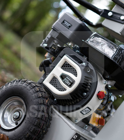 Astilladora leña gasolina 15 toneladas 3 posiciones 7HP Omega Monza