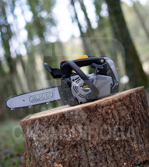 Motosierra poda gasolina Alpina 26.9 cc 25 cm 4.9 kg