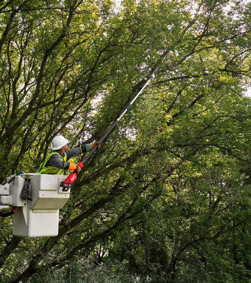 Podadora altura telescópica Milwaukee M18FTPS30-121 270-400cm con barra de 30cm (incluye batería y cargador)