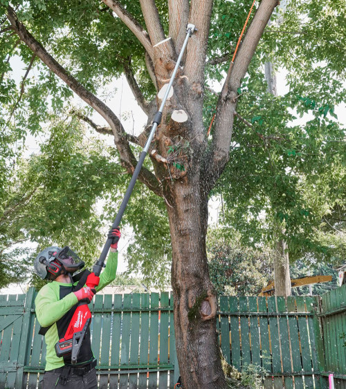 Podadora altura telescópica Milwaukee M18FTPS30-121 270-400cm con barra de 30cm (incluye batería y cargador)