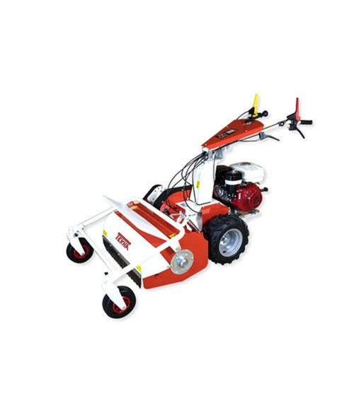 Desbrozadora trituradora martillos Tekna TT 65 Motor Honda 270 cc